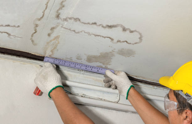 Reliable Water Damage contractor in Gillett, TX by Water Damage Irwin